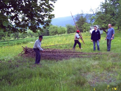 Zbieranie drewna